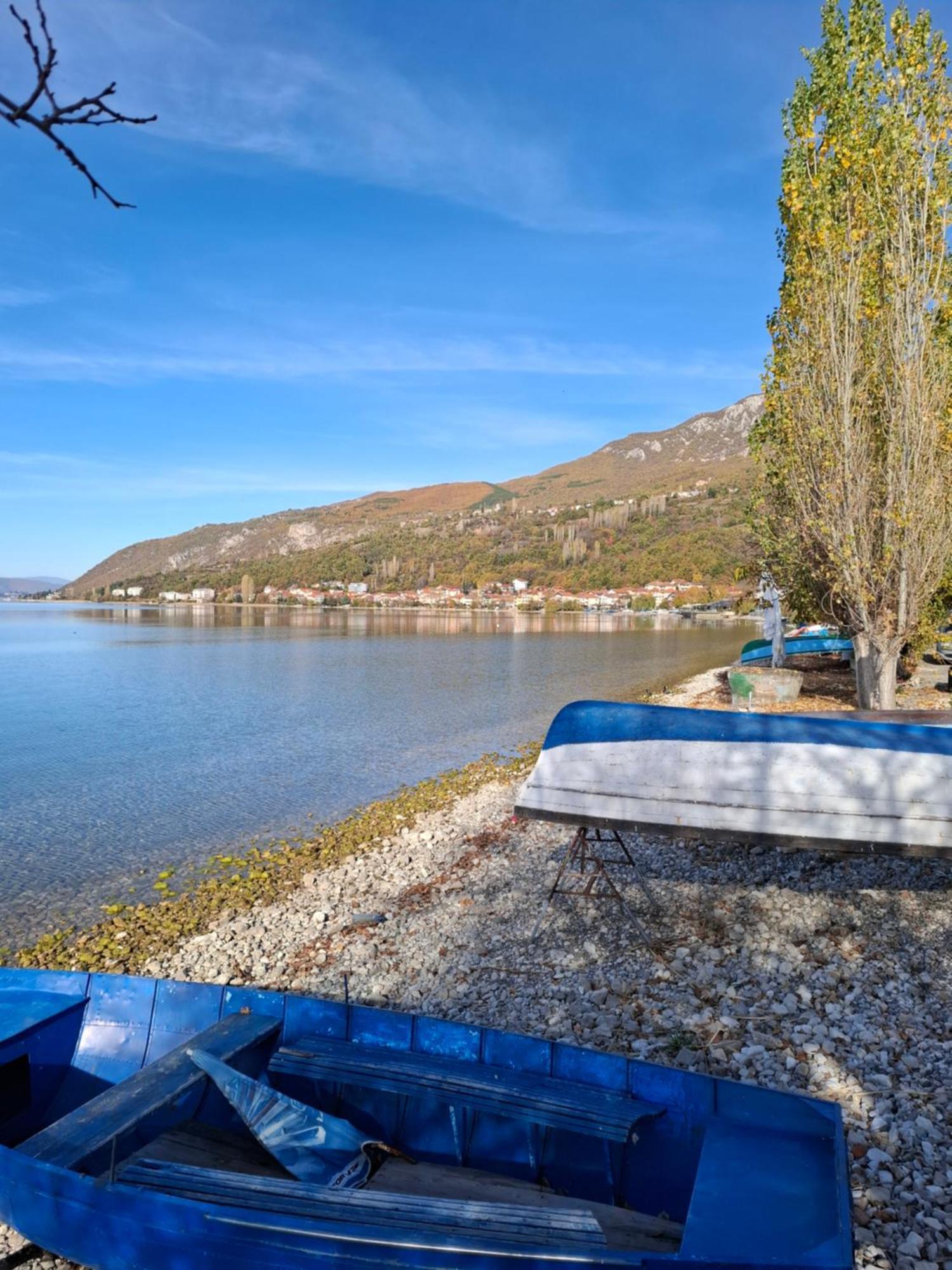 Apartments Villa Boris Ohrid Kamer foto