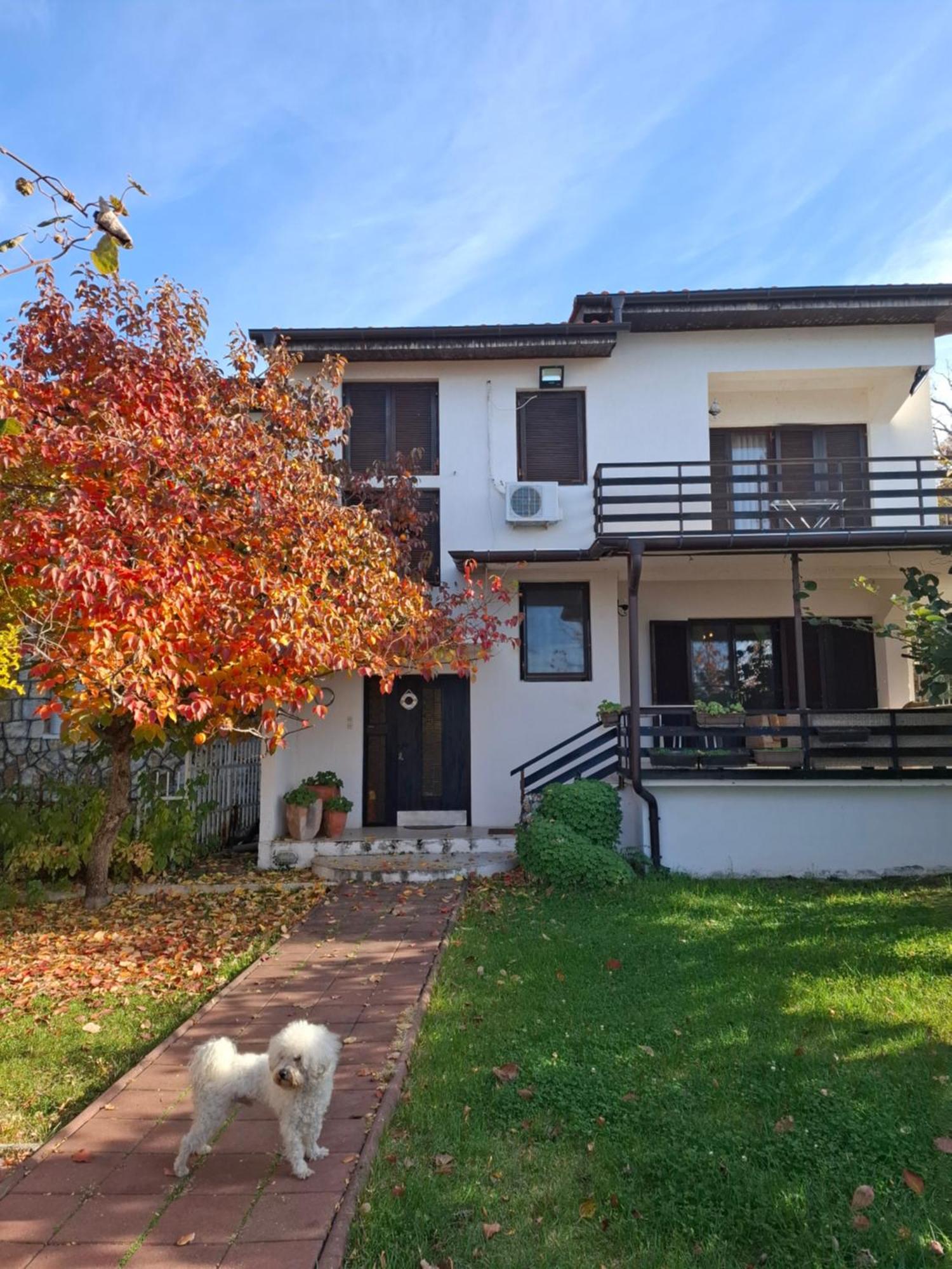 Apartments Villa Boris Ohrid Kamer foto