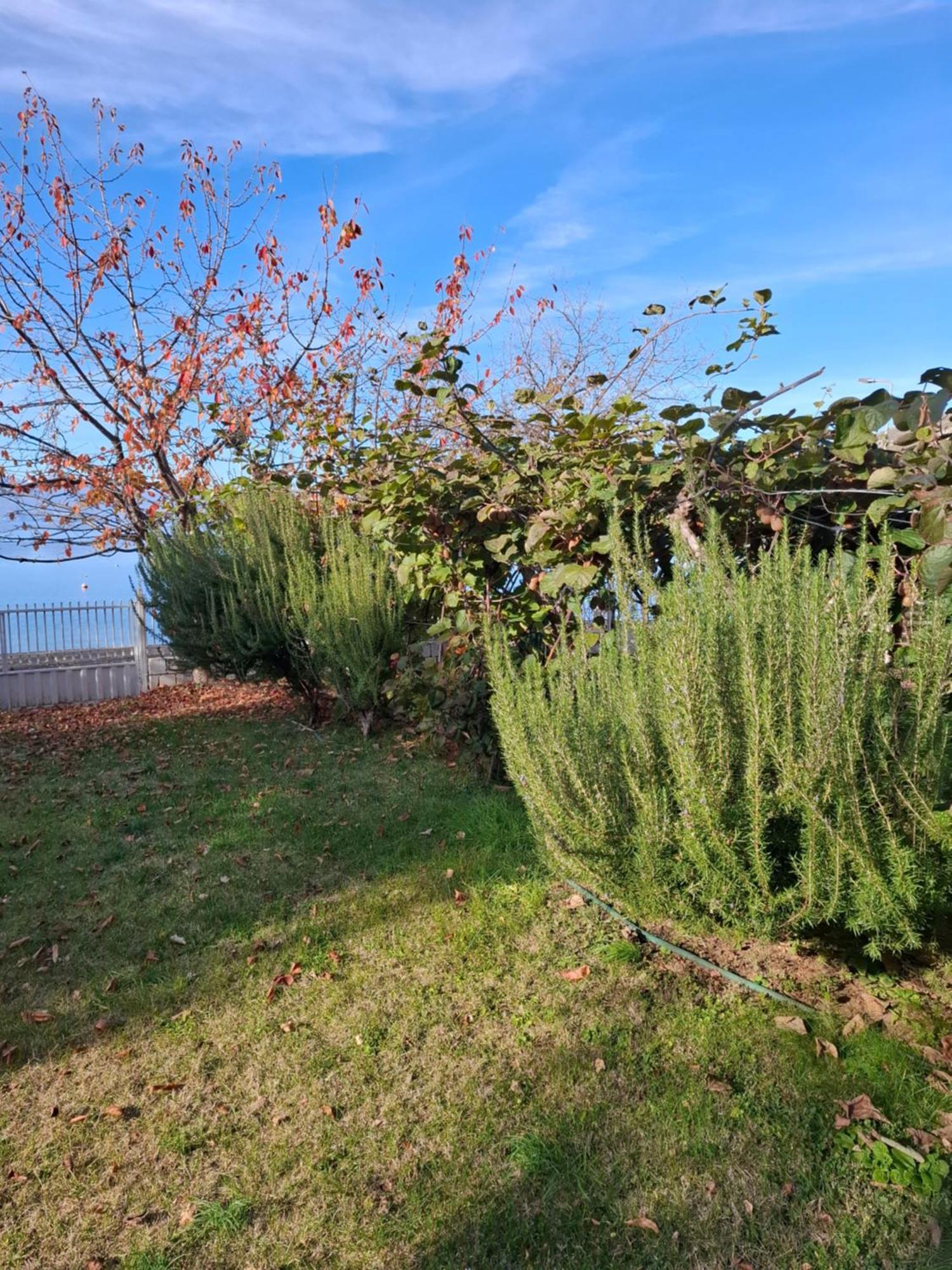 Apartments Villa Boris Ohrid Buitenkant foto
