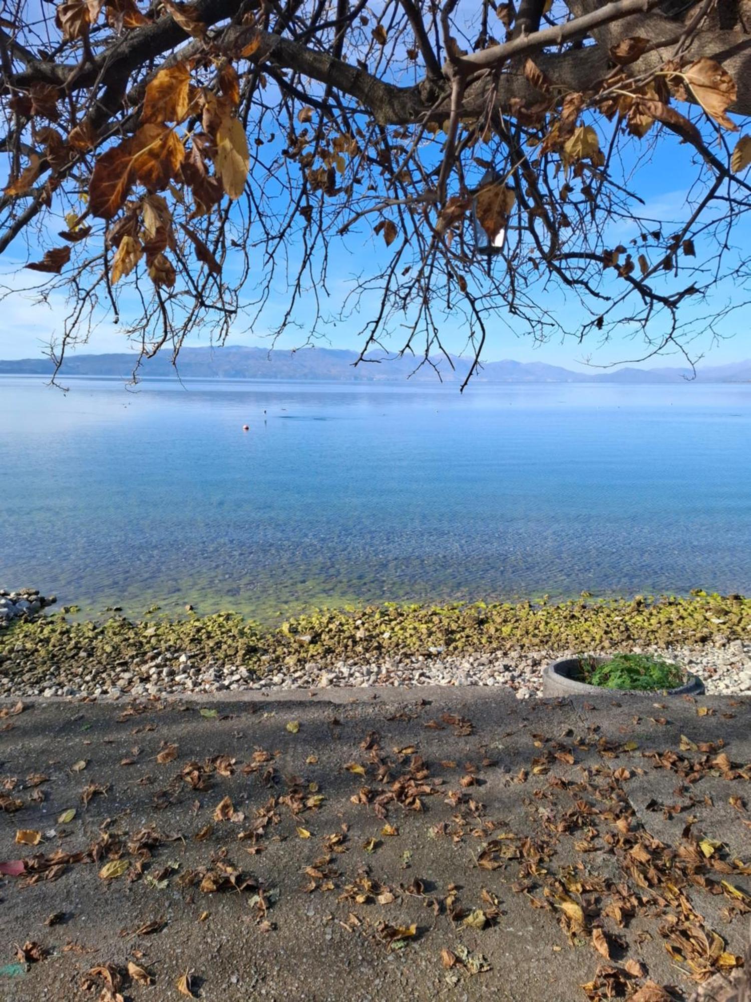 Apartments Villa Boris Ohrid Buitenkant foto
