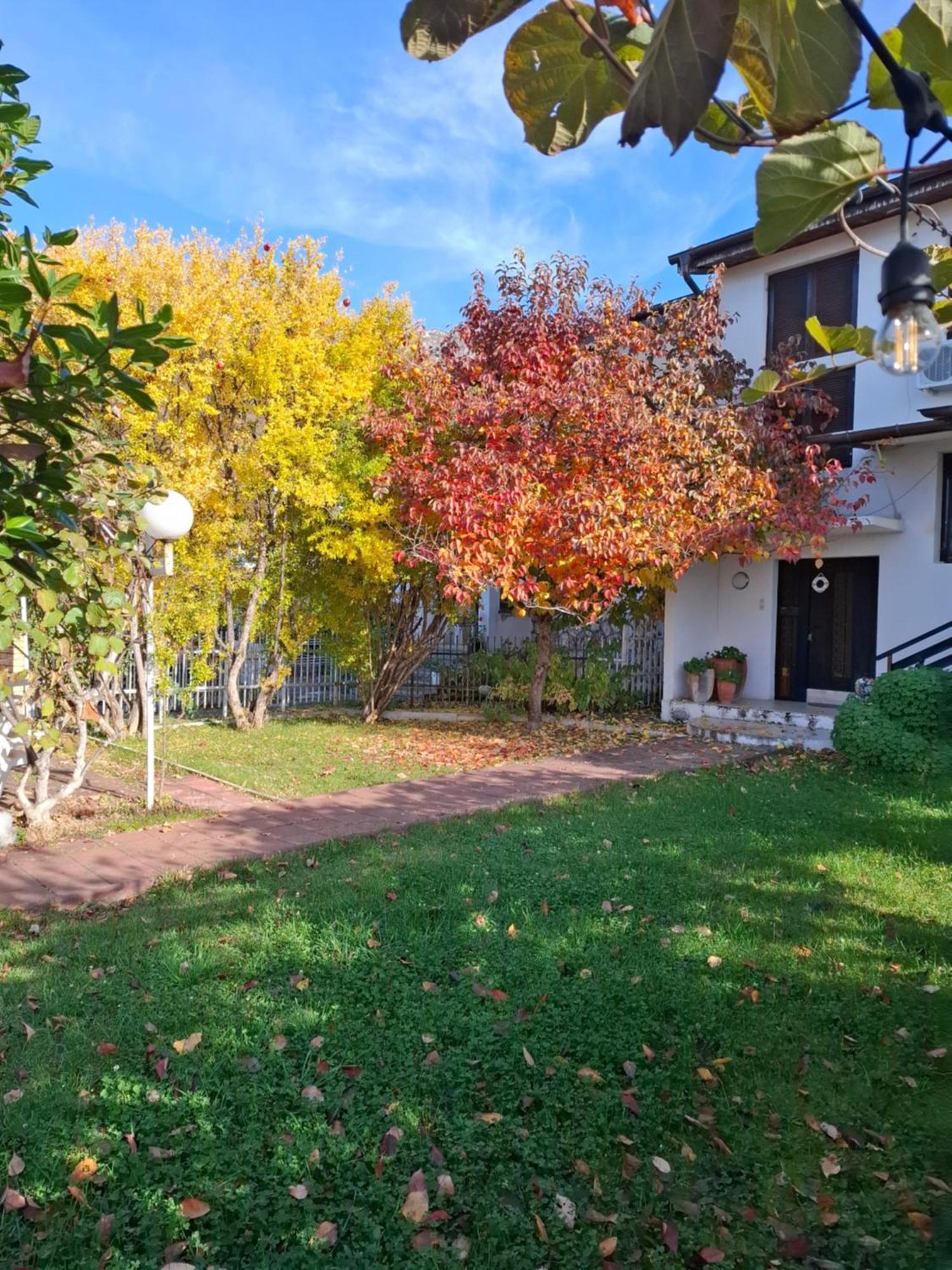 Apartments Villa Boris Ohrid Buitenkant foto